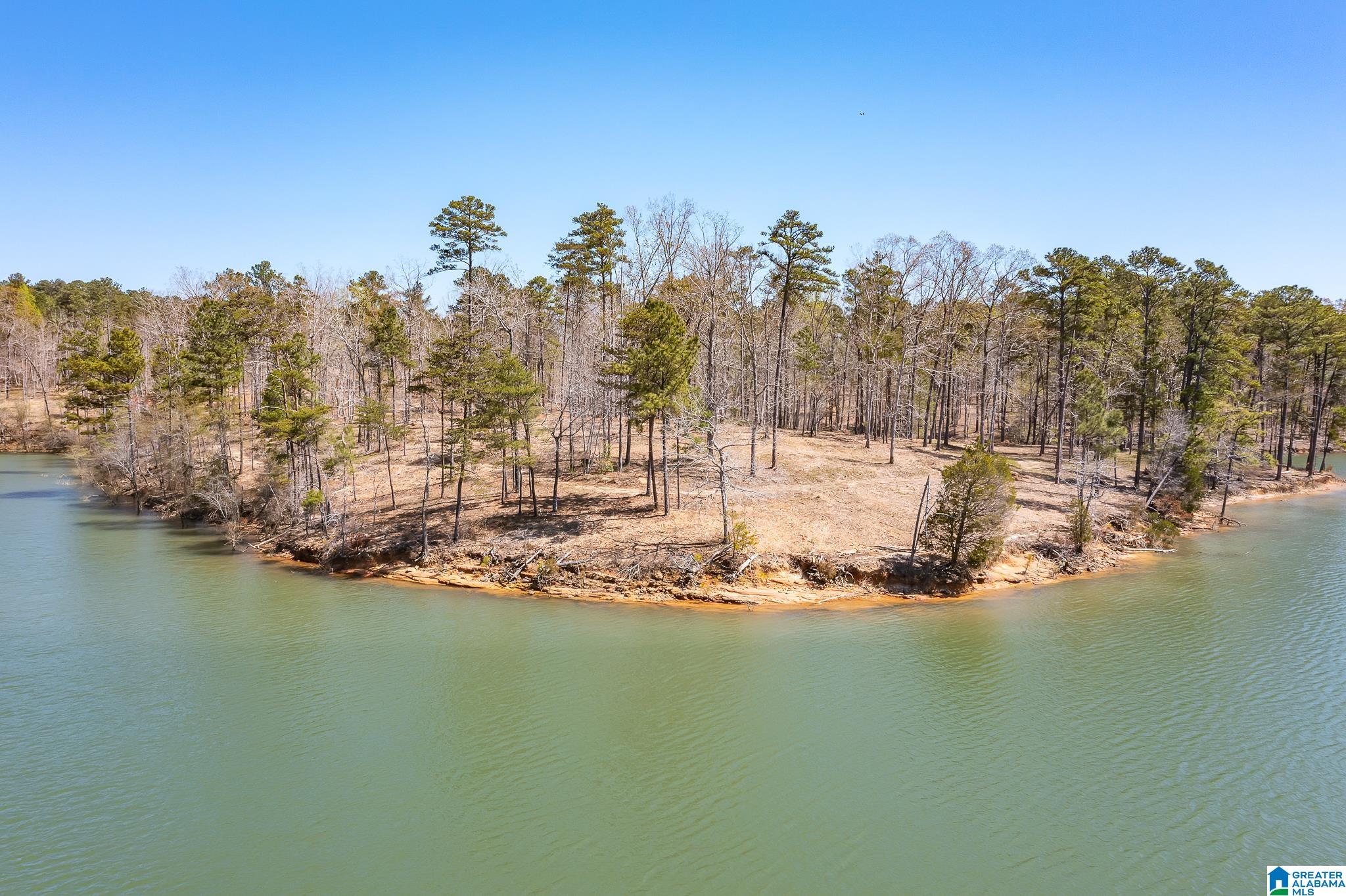 61 County Road, Unit 35 Houston, AL 35572 - Photo 4 of 6