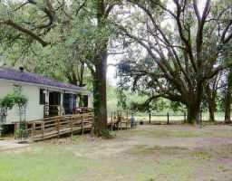 12609 Stanga Road Covington, LA 70433 - Photo 4 of 5