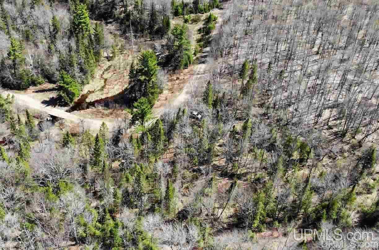Tbd Celotex Road Michigamme, MI 49946 - Photo 3 of 25