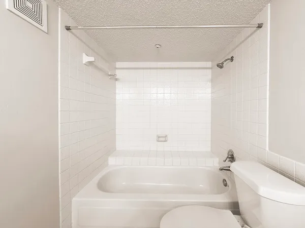 a bathroom with a bathtub and a toilet