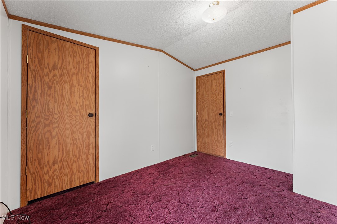 4455 Cleveland Road, Unit 6 Wooster, OH 44691 - Photo 21 of 40 Unfurnished room with carpet, ornamental molding, a textured ceiling, and lofted ceiling