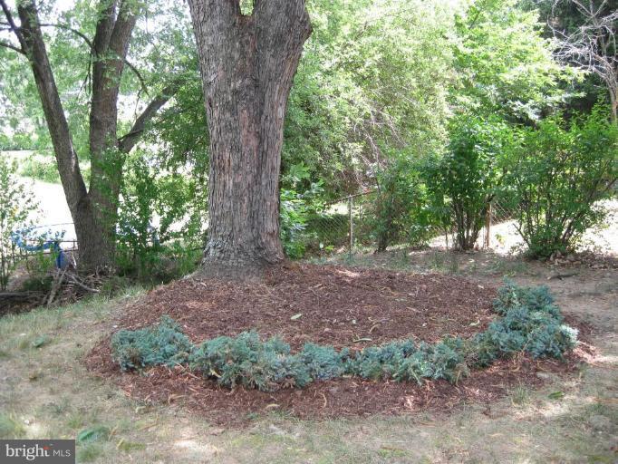 14111 Grayson Road Woodbridge, VA 22191 - Photo 23 of 24 Other #2