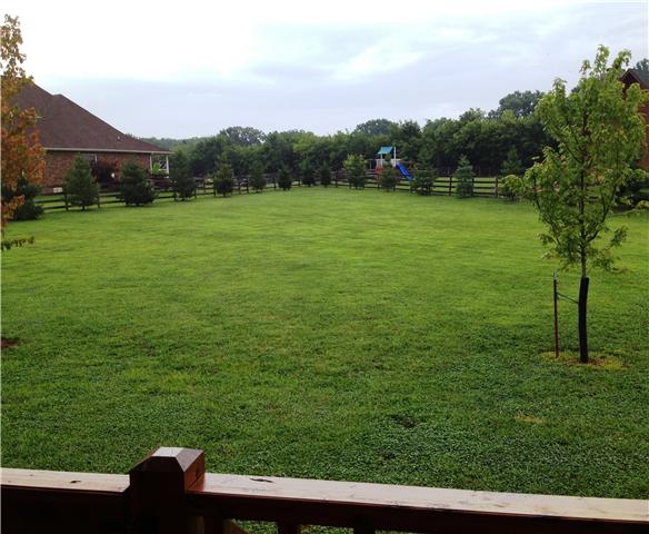108 New Dawn Road Rockvale, TN 37153 - Photo 18 of 20 View from your back porch...