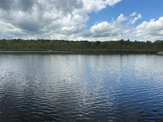 a view of backyard with tree