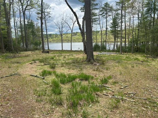 a view of a lake from a yard