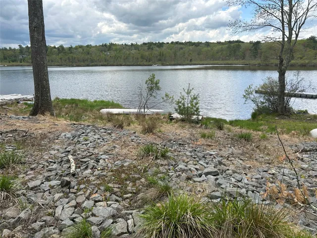 a view of a yard with large trees