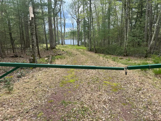 a view of wooden floor with a lake