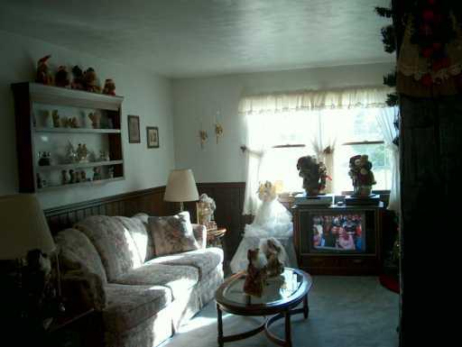 112 South Spring Valley Road Canonsburg, PA 15317 - Photo 4 of 8