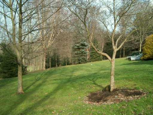 112 South Spring Valley Road Canonsburg, PA 15317 - Photo 7 of 8