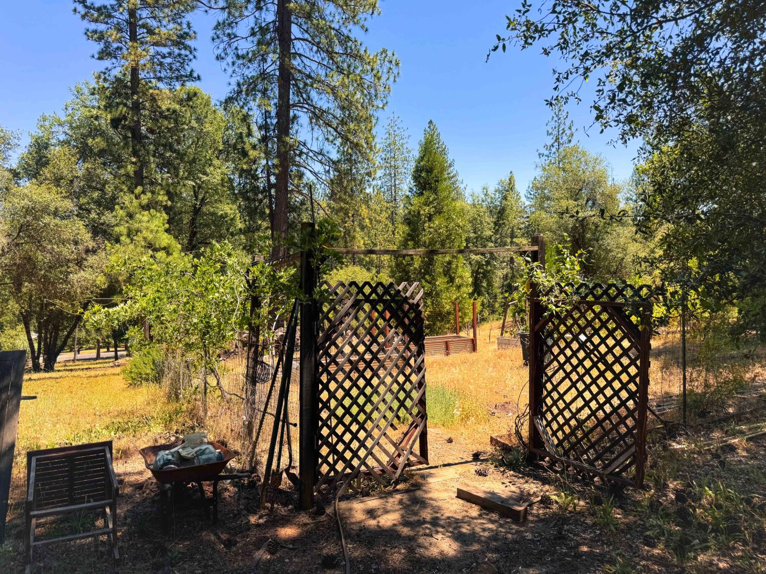 6425 Quartz Mine Road Mountain Ranch, CA 95246 - Photo 50 of 70