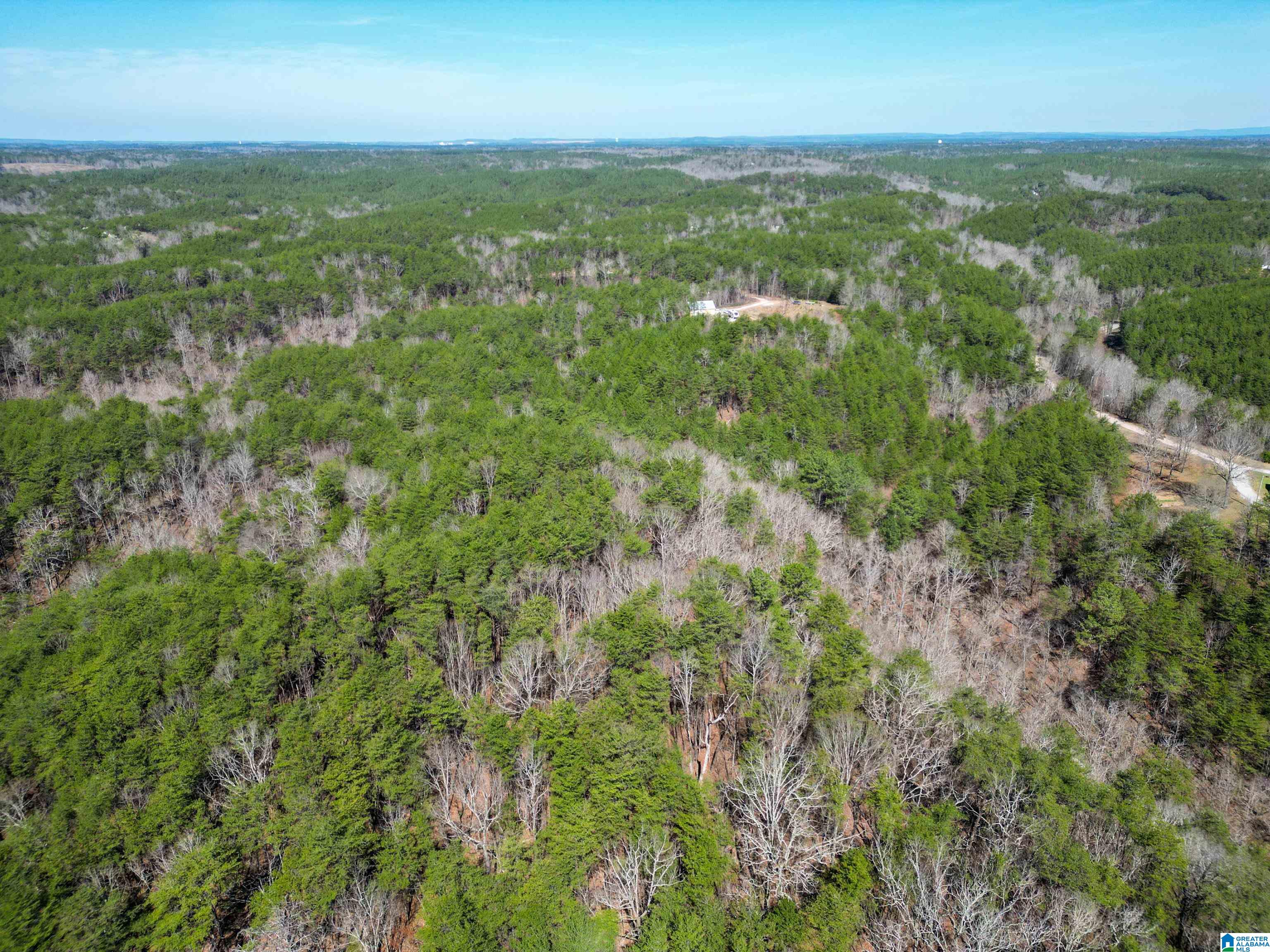 565 Hiawatha Road Calera, AL 35040 - Photo 7 of 27