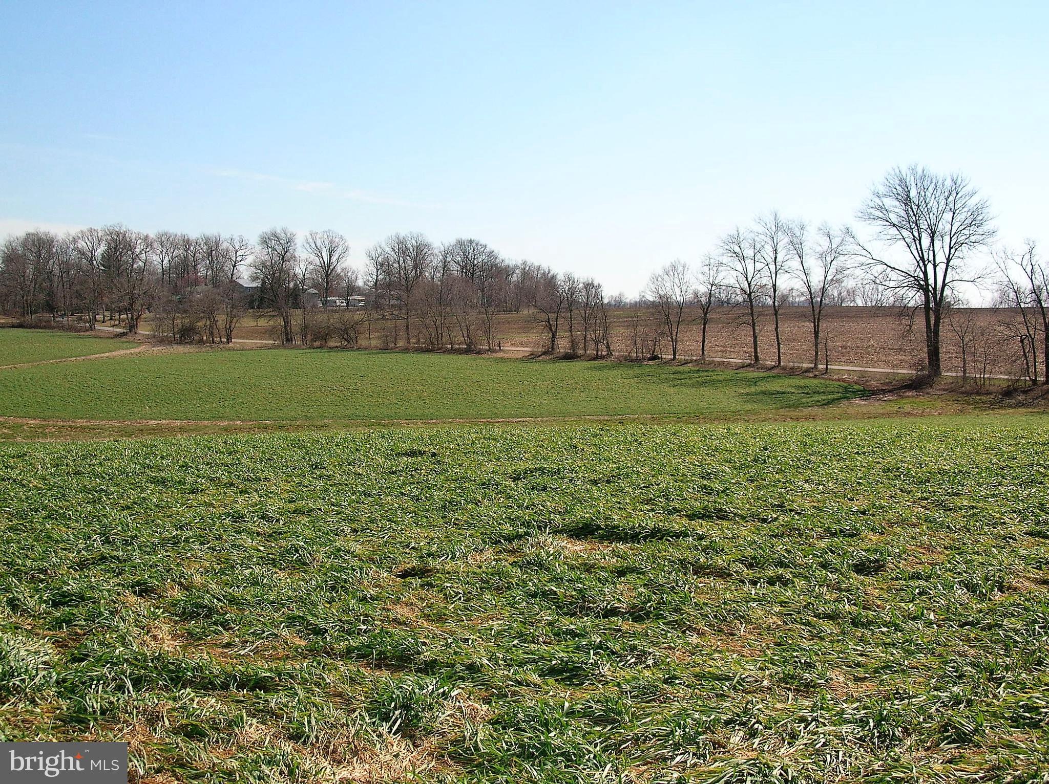 12601 Legore Road Keymar, MD 21757 - Photo 14 of 47 Road frontage along Legore Road
