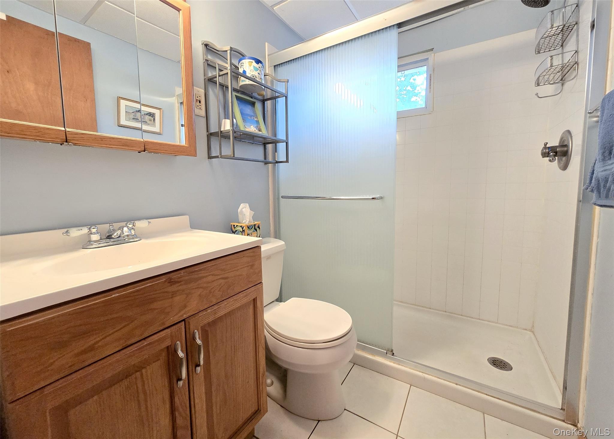 8 Corvette Road Selden, NY 11784 - Photo 15 of 21 a bathroom with a sink a toilet and shower