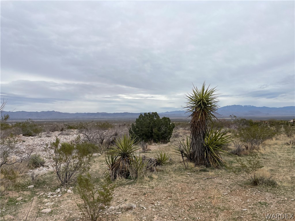 3096 South McCraken Road Golden Valley, AZ 86413 - Photo 6 of 8 a view of a lake with a mountain in the background