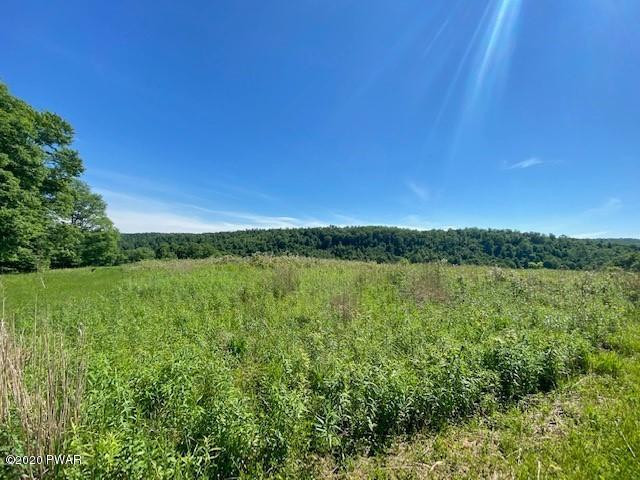 707 Shadigee Creek Road Starrucca, PA 18462 - Photo 2 of 11