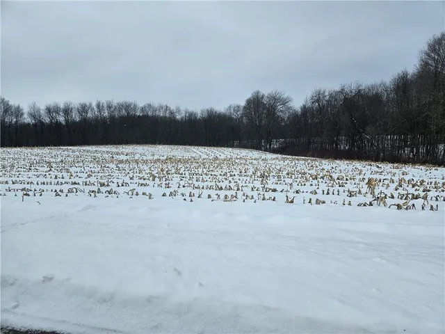 a view of large yard