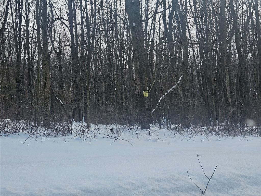 0 T 602 Mercer, PA 16137 - Photo 4 of 5 a view of a yard