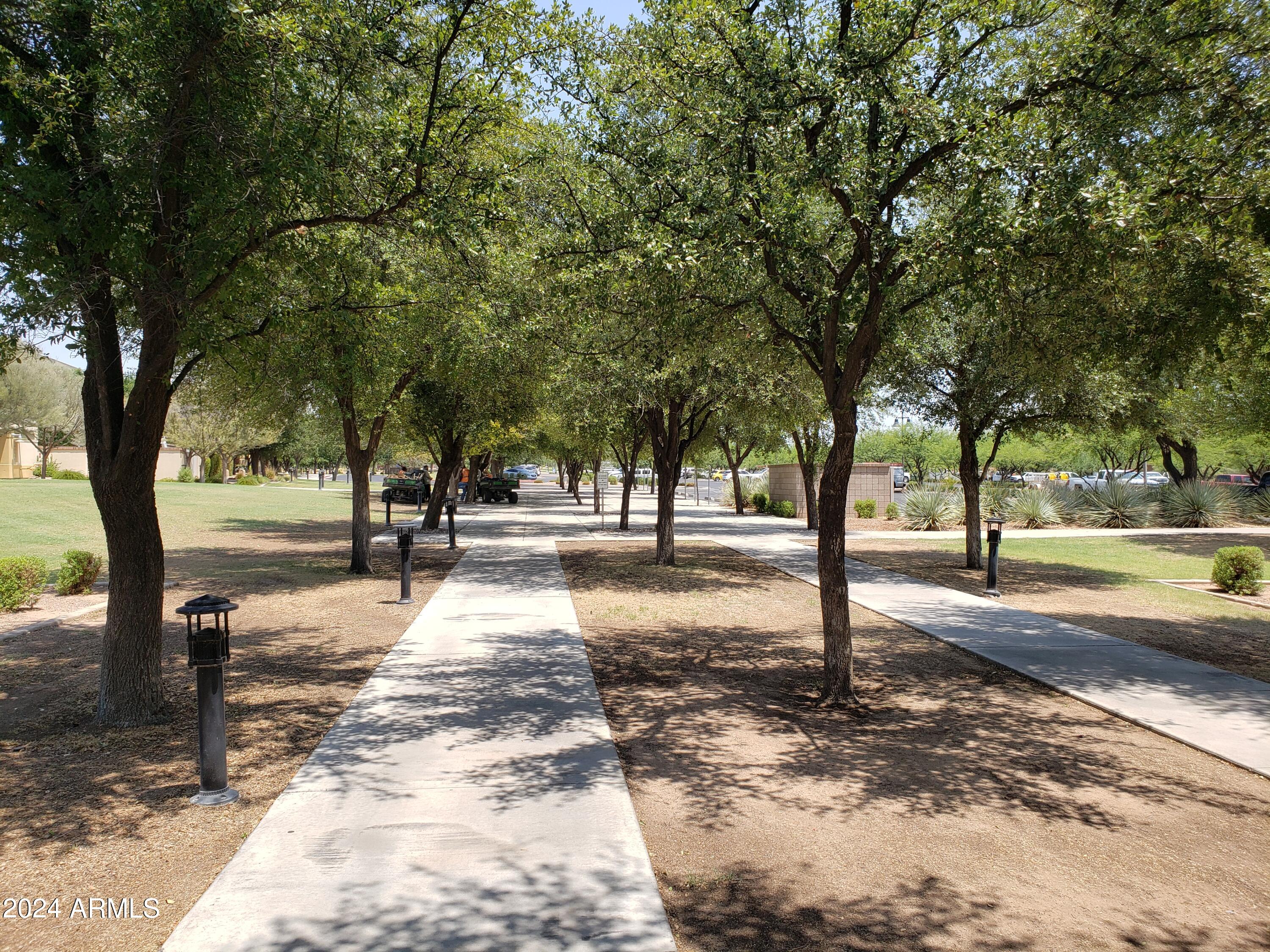 8426 West Gehrig Way Florence, AZ 85132 - Photo 43 of 46 a view of a yard with trees