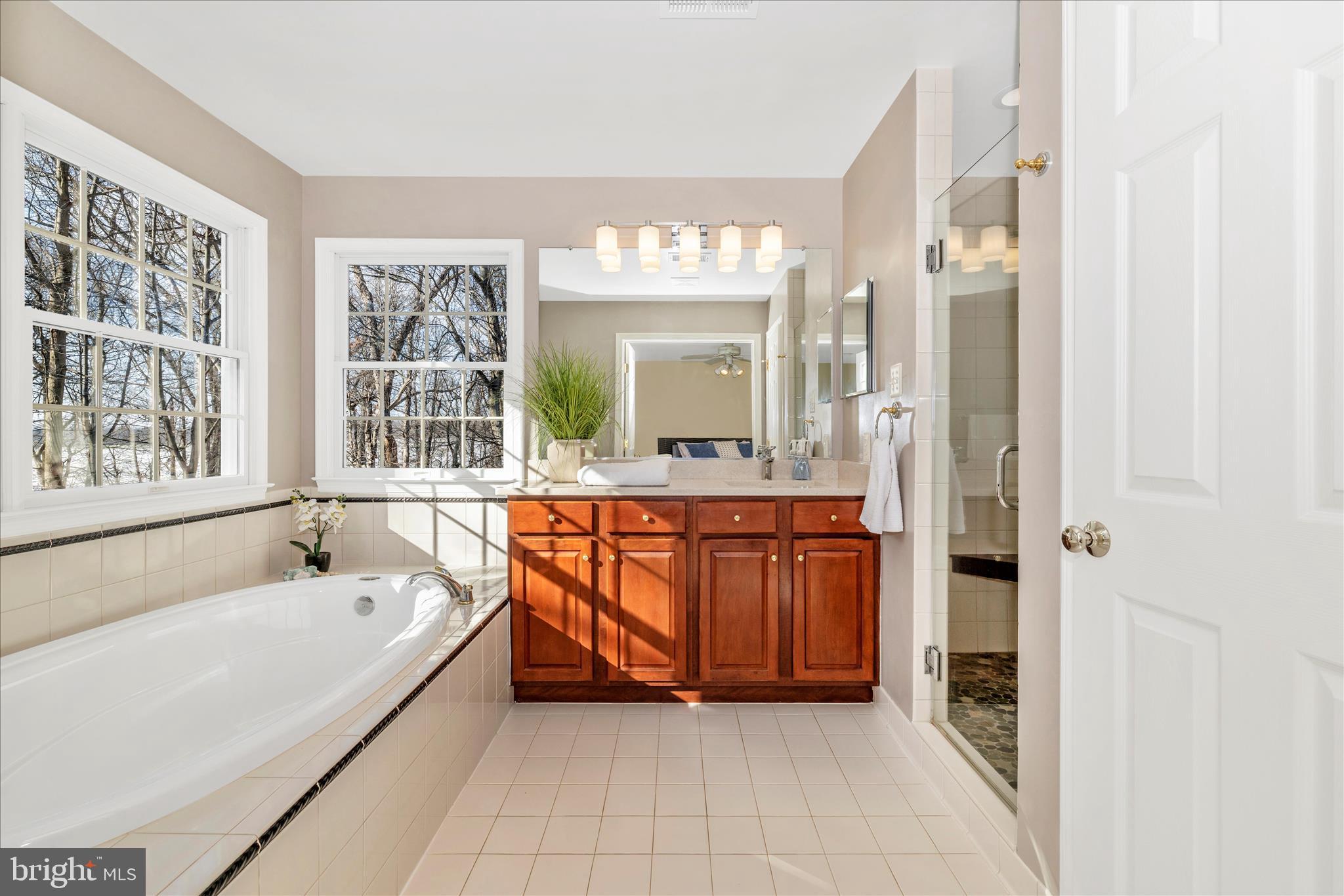 15274 Ridge Hunt Drive Woodbine, MD 21797 - Photo 27 of 50 Primary Bathroom