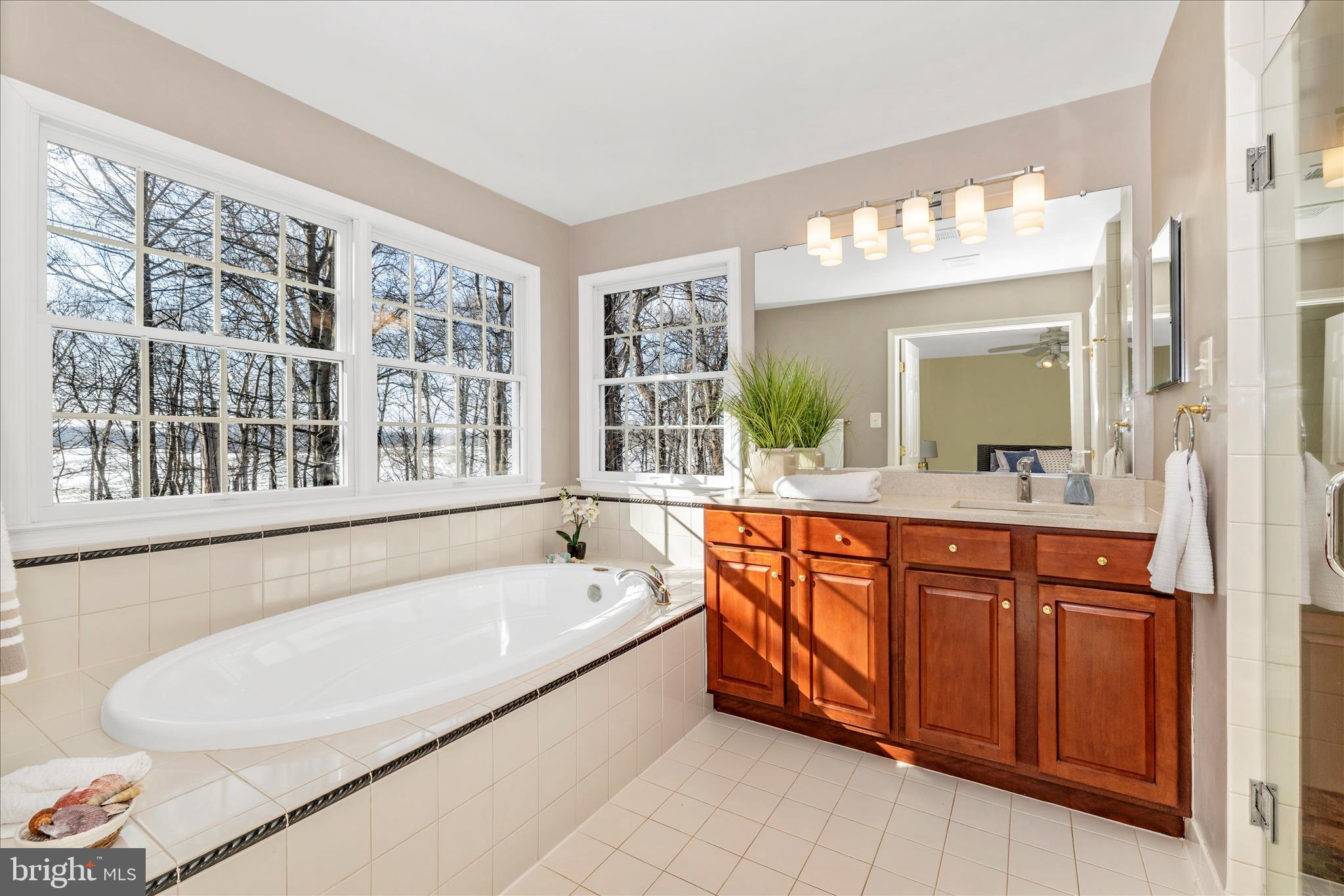 15274 Ridge Hunt Drive Woodbine, MD 21797 - Photo 28 of 50 Primary Bathroom