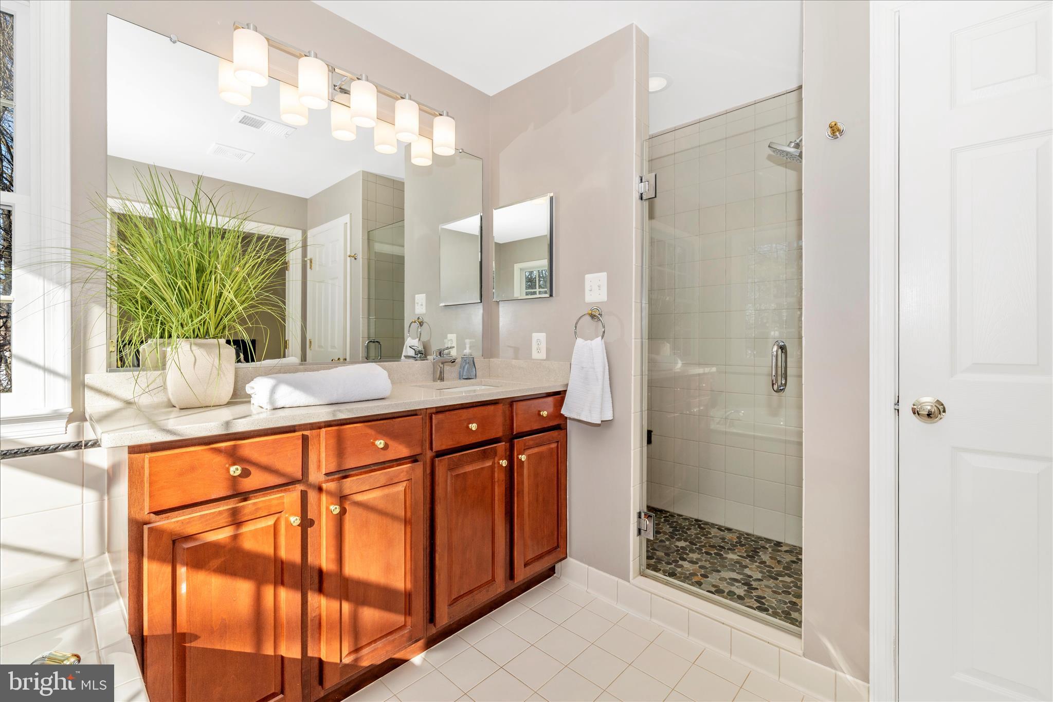 15274 Ridge Hunt Drive Woodbine, MD 21797 - Photo 29 of 50 Primary Bathroom