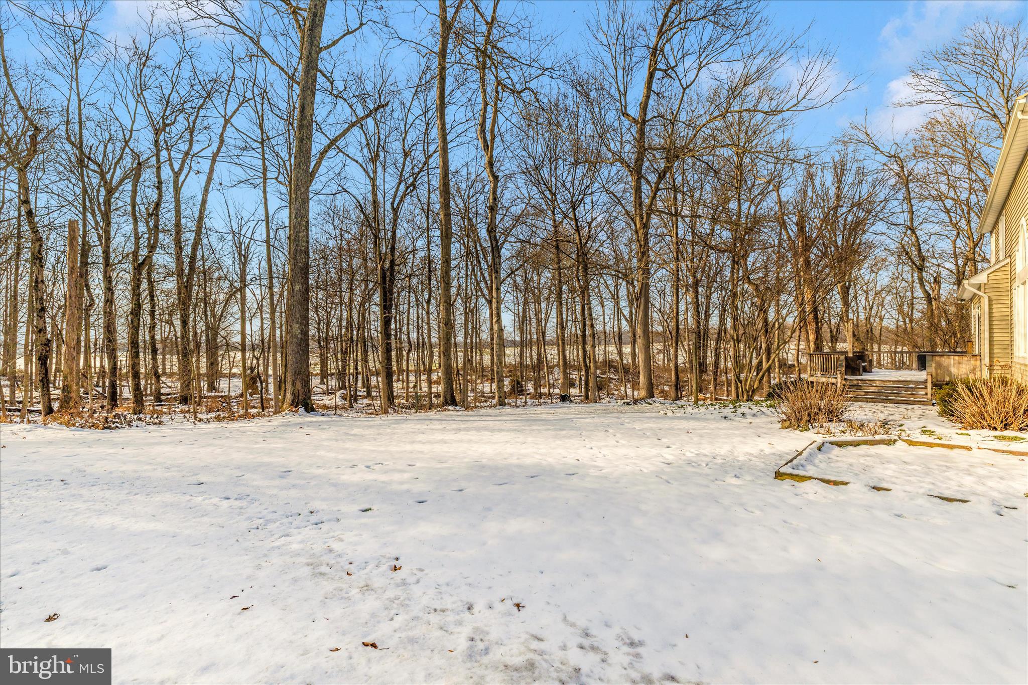 15274 Ridge Hunt Drive Woodbine, MD 21797 - Photo 42 of 50 Amazing Views