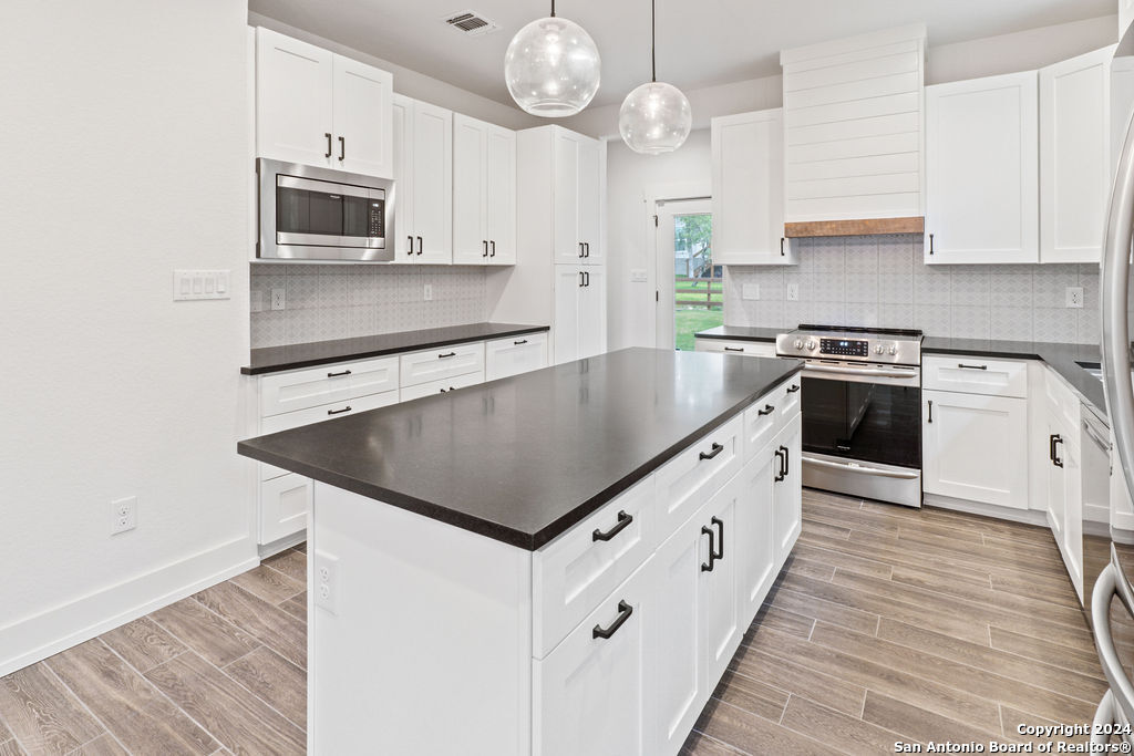 1125 Cedar Grove Trail Spring Branch, TX 78070 - Photo 11 of 23