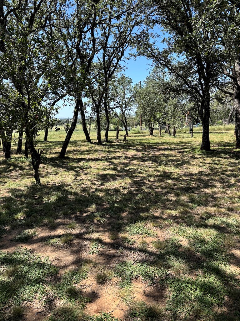 727 Cemetery Road Stonewall, TX 78671 - Photo 16 of 16 a view of a yard with a trees