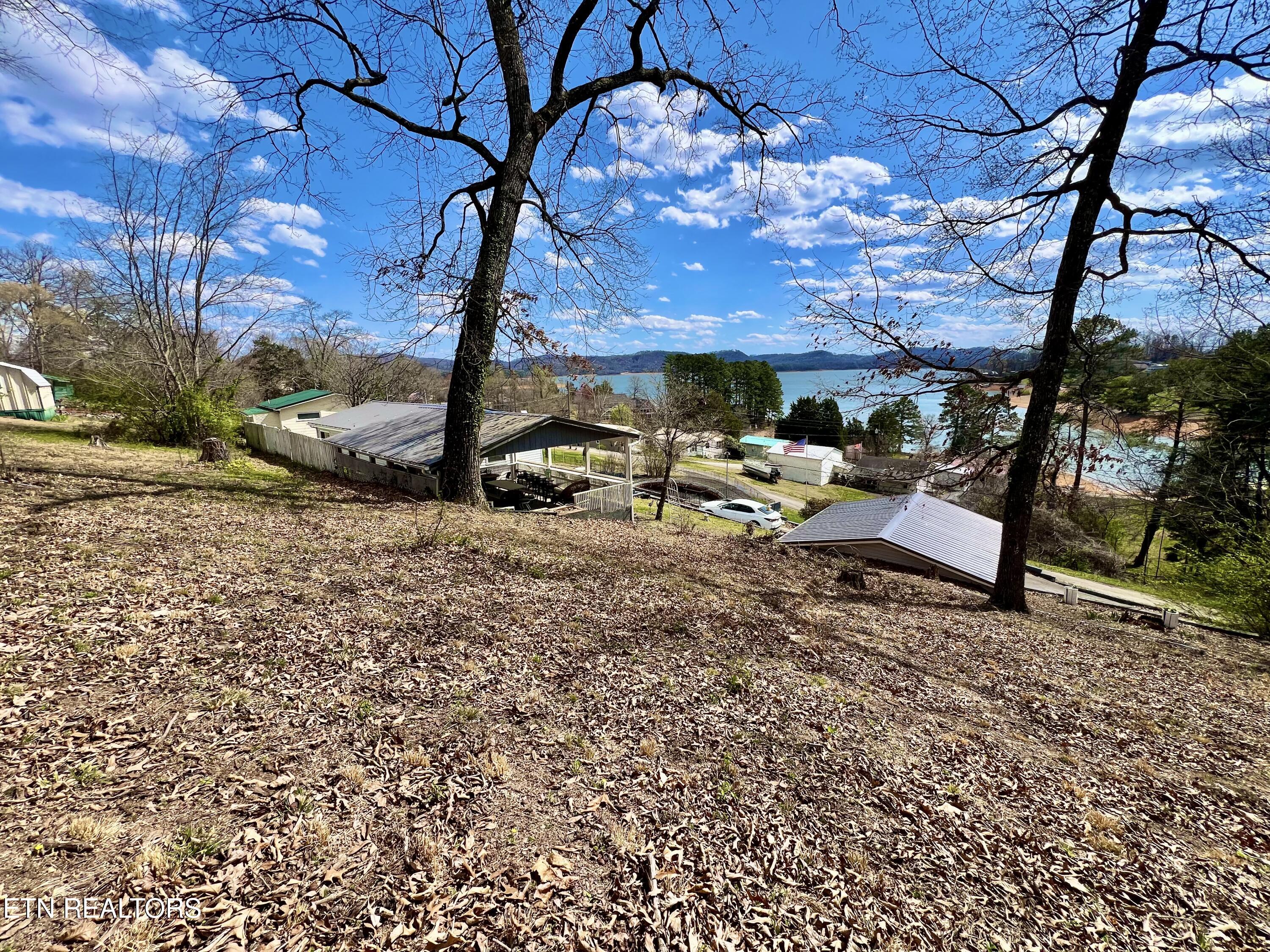 679 Gilmore Road Bean Station, TN 37708 - Photo 11 of 30 IMG_8356