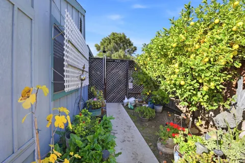 a view of a back yard