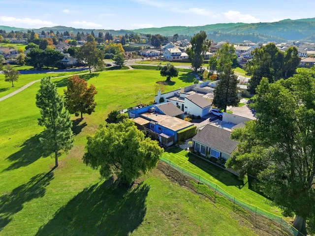 a view of a city with garden