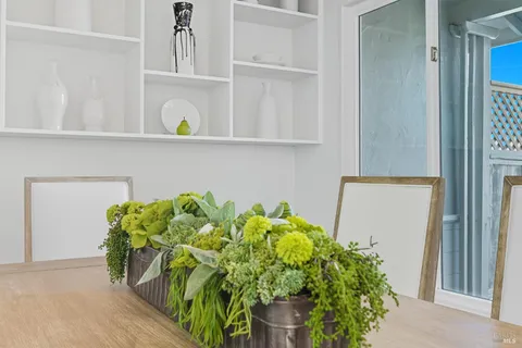 a plant with a vase of flowers