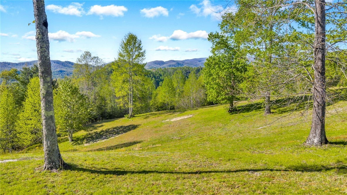 5939 Big Laurel Road Creston, NC 28615 - Photo 10 of 50
