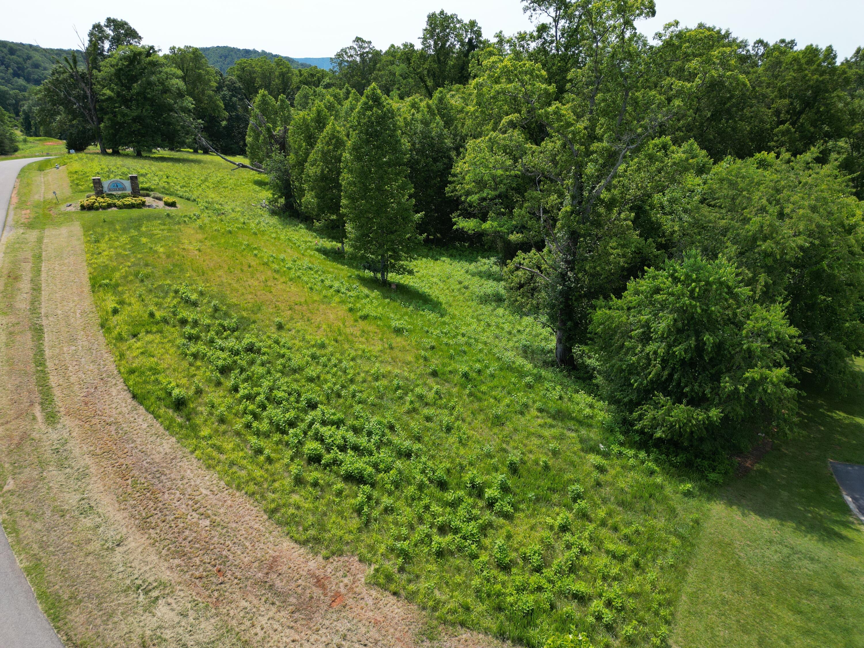 Lot 4 River Rock Road Vinton, VA 24179 - Photo 4 of 7 a view of a street with a houses