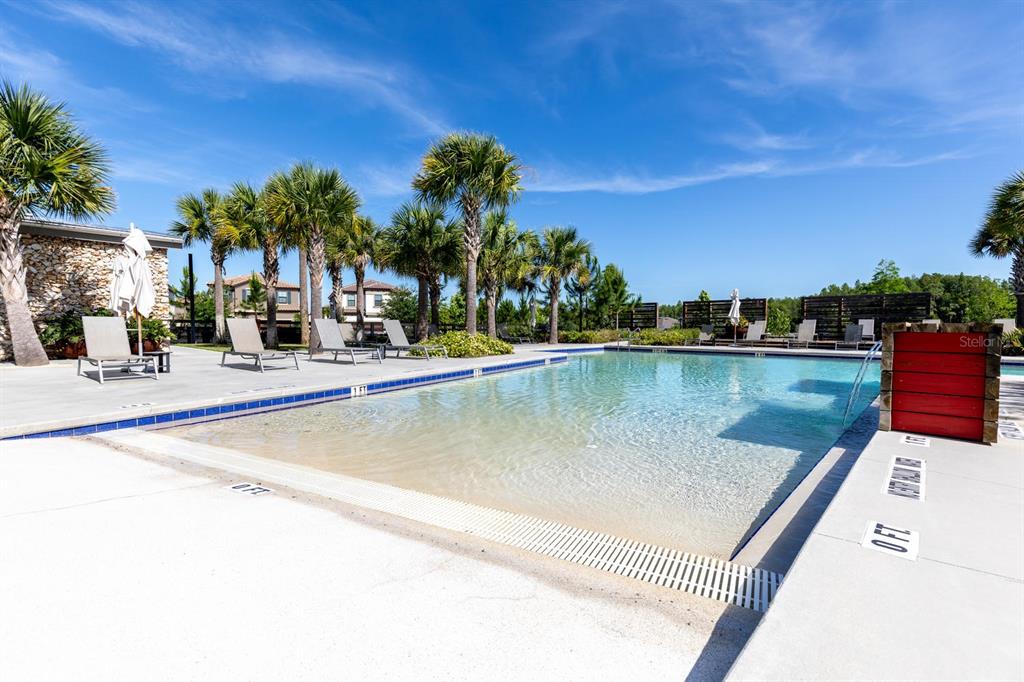 13809 Rangeland Boulevard Odessa, FL 33556 - Photo 59 of 67