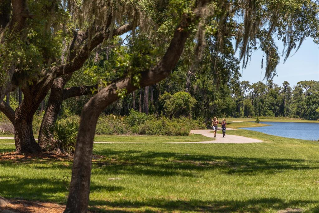 13809 Rangeland Boulevard Odessa, FL 33556 - Photo 61 of 67