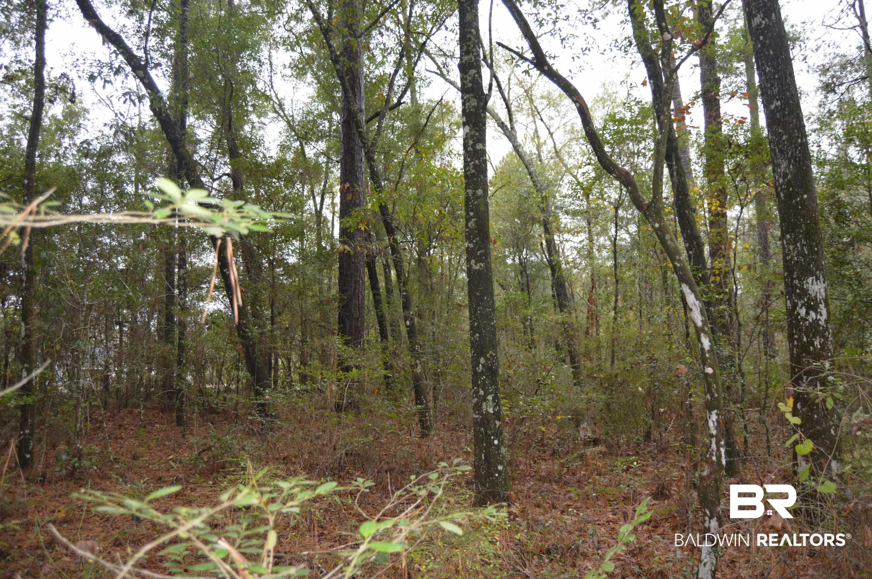14 Marlin Street Stockton, AL 36579 - Photo 13 of 23 View of wooded area
