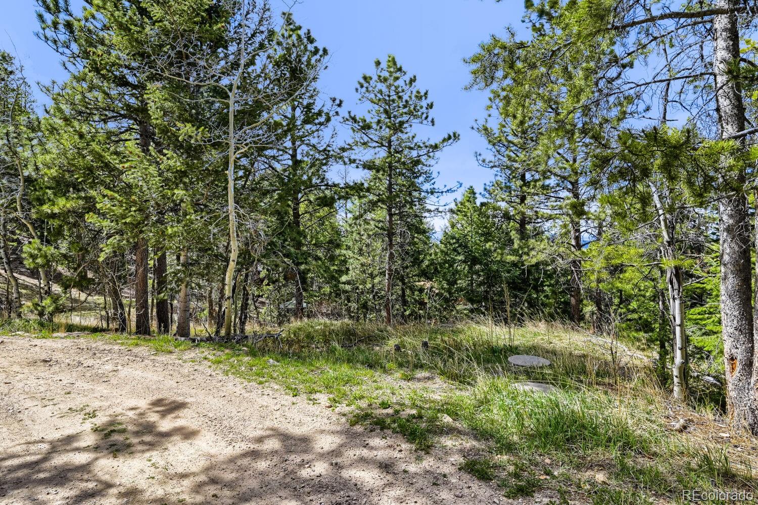 126 Signal Rock Road Golden, CO 80403 - Photo 24 of 49