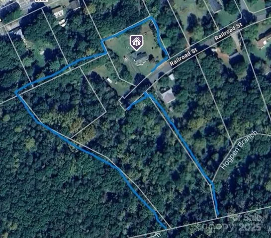 a close up of a plant