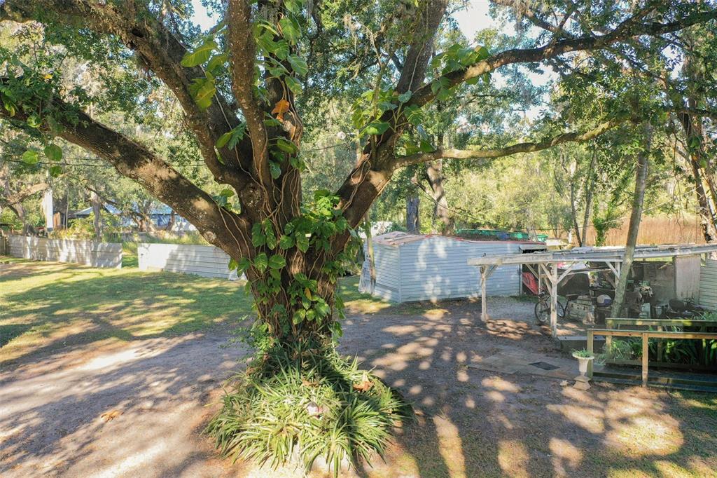 5013 Greenbriar Road Lakeland, FL 33810 - Photo 6 of 34 a view of backyard with outdoor seating and trees