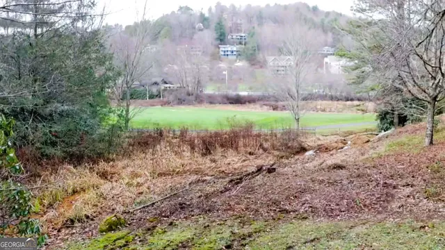 $1,075,500 | 160 Ridgepole Drive, Sky Valley, GA 30537