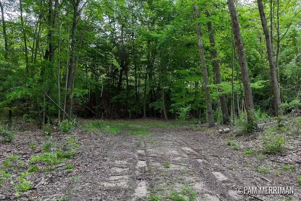 $150,000 | Parcel A Youngman Road, Trufant, MI 49347