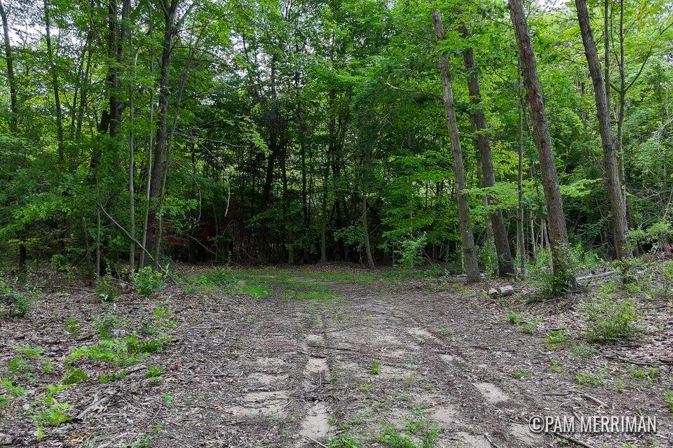 Parcel A Youngman Road Trufant, MI 49347 - Photo 4 of 5 y3