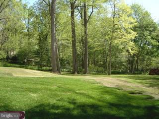 126 Pine Tree Road Radnor, PA 19087 - Photo 5 of 6