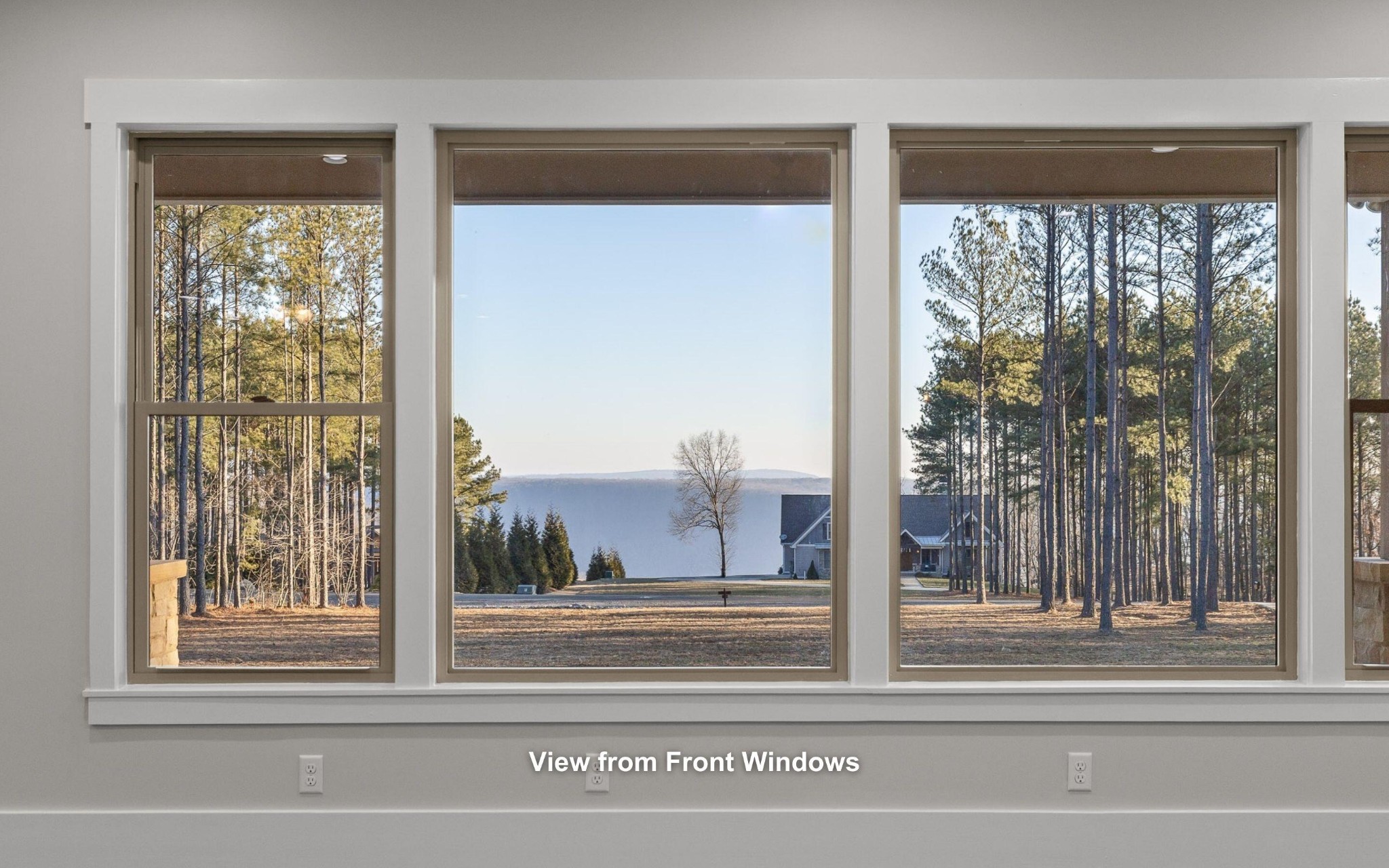 220 High Point Lane Jasper, TN 37347 - Photo 9 of 59