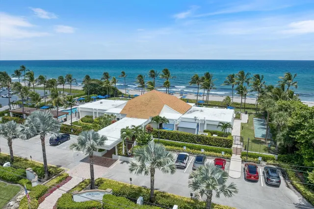 a view of a garden with a palm tree