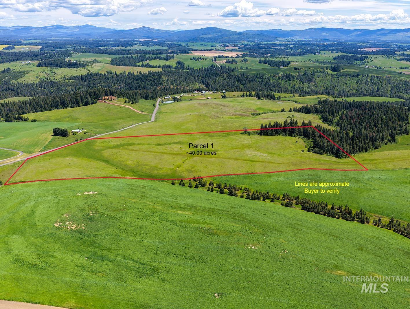 Tbd Tbd Johnson Road, Unit 1 Deary, ID 83823 - Photo 14 of 18