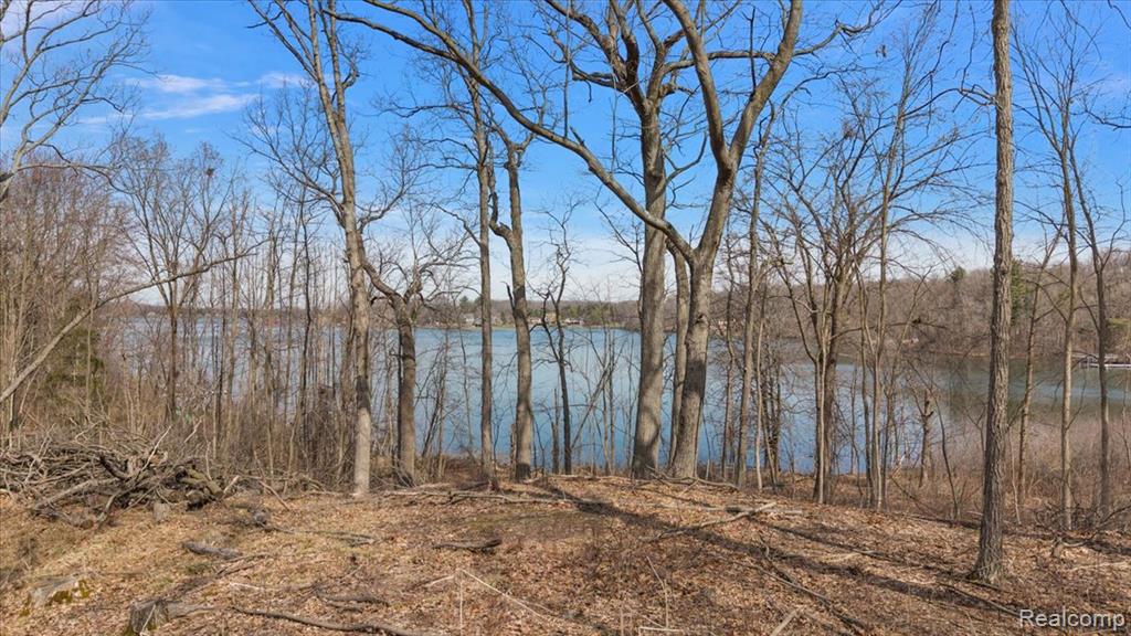 10515 Horton Road Goodrich, MI 48438 - Photo 11 of 13