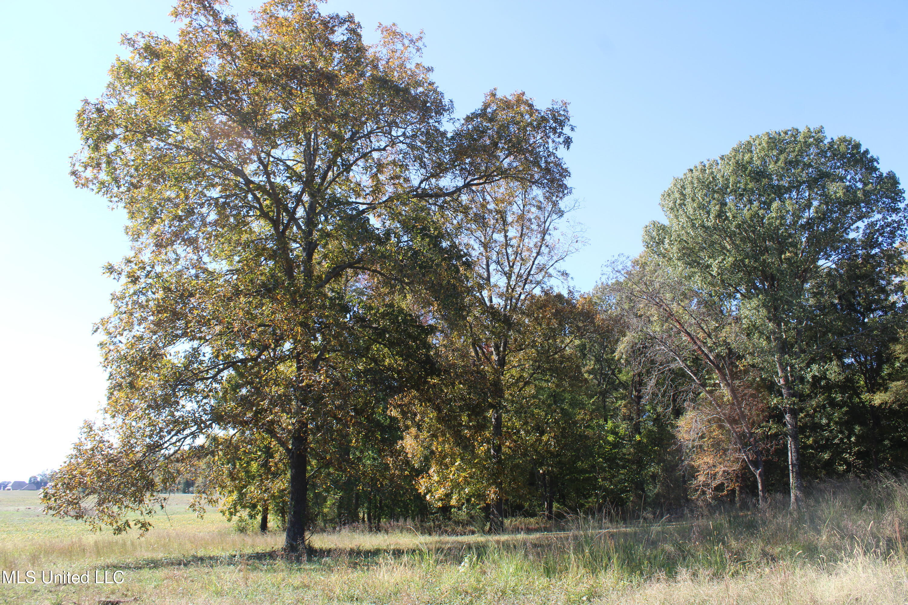 14901 Desoto Road Olive Branch, MS 38654 - Photo 8 of 27 IMG_6880