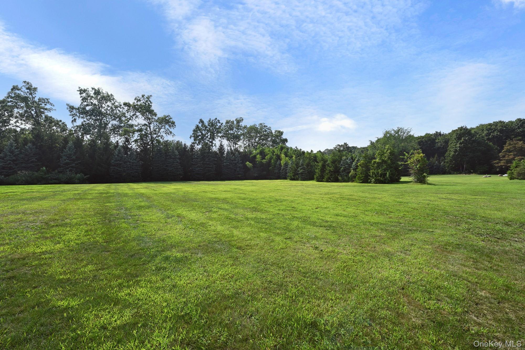 a view of a grassy field with trees in the background